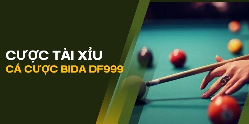 Cược tài xỉu điểm số khi cá cược bida tại DF999